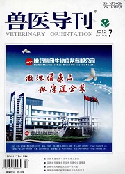 兽医导刊封面