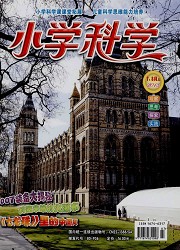 小学科学封面